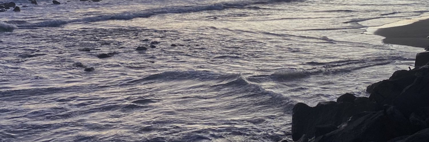 maruhbarraza's profile banner image