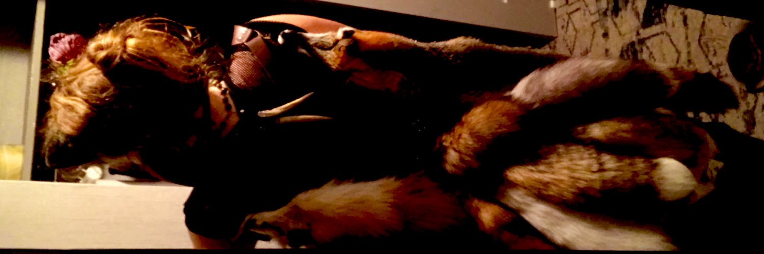 lttleREDshortie's profile banner image
