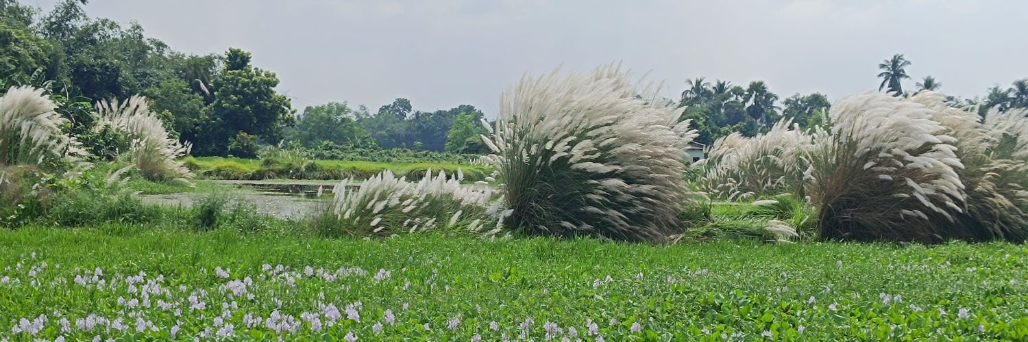 Ratul_speaks's profile banner image