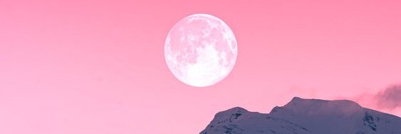 𝗡𝗢𝗶𝗥 banner