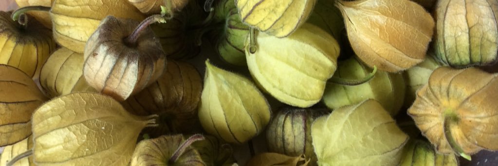 C_Veggie's profile banner image