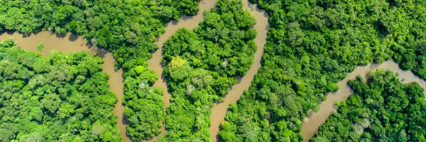 Iroko Analytics banner