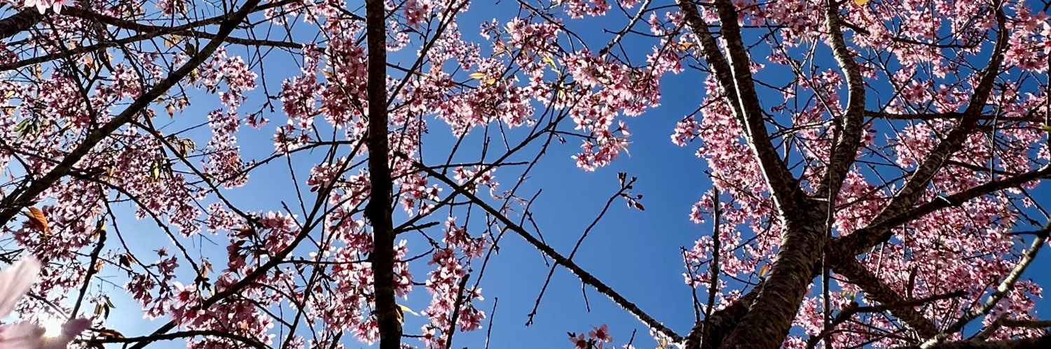 Zen banner