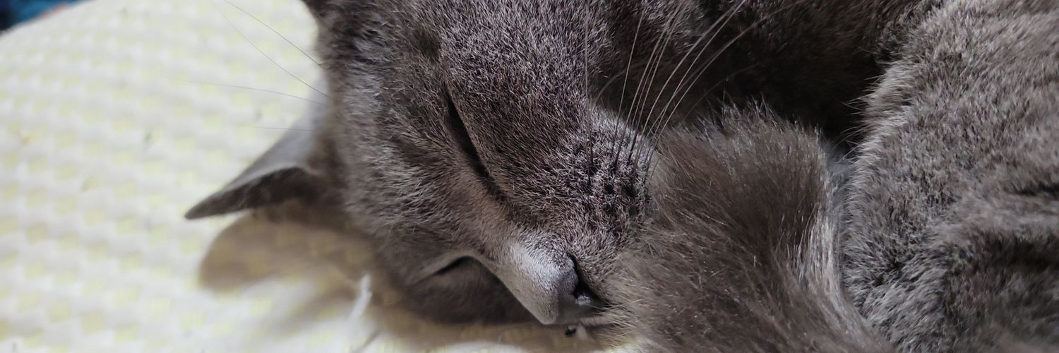 YQUQY's profile banner image