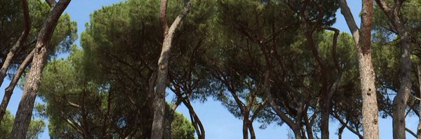 robjanaway Profile Banner