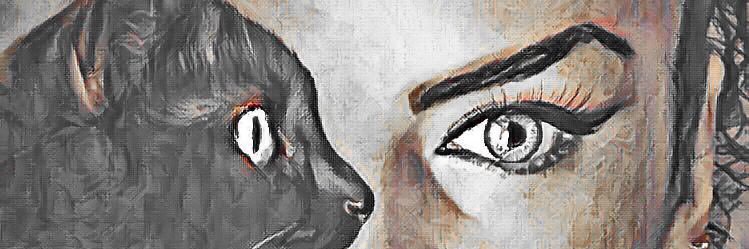 taclixatuun's profile banner image