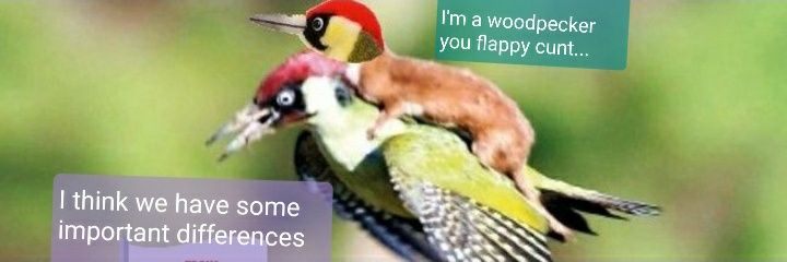 Felony Bitchforks's banner
