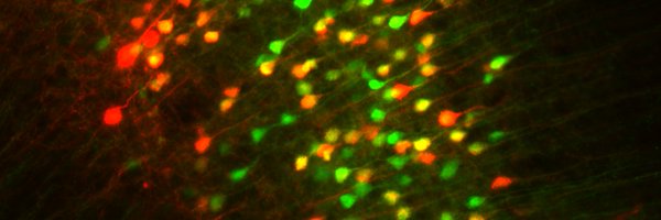 jmirandab84 Profile Banner