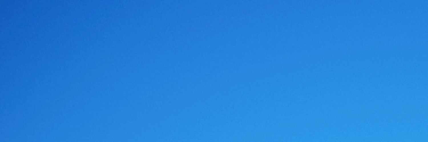 Roy banner