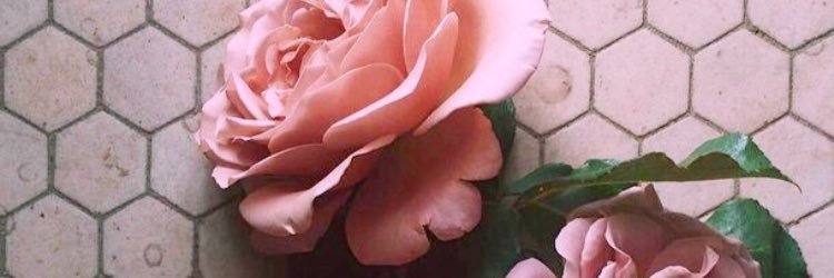 __therealrosee's profile banner image