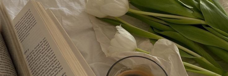 🥯bailee banner