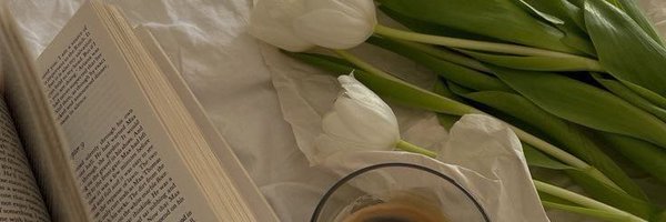 _bjleee Profile Banner