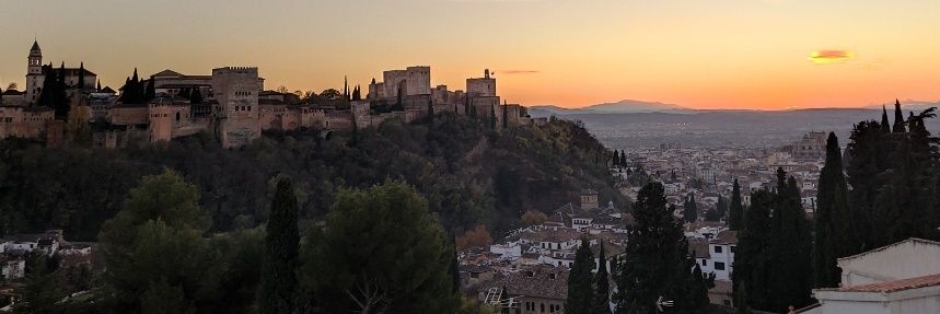 Alba_9919's profile banner image