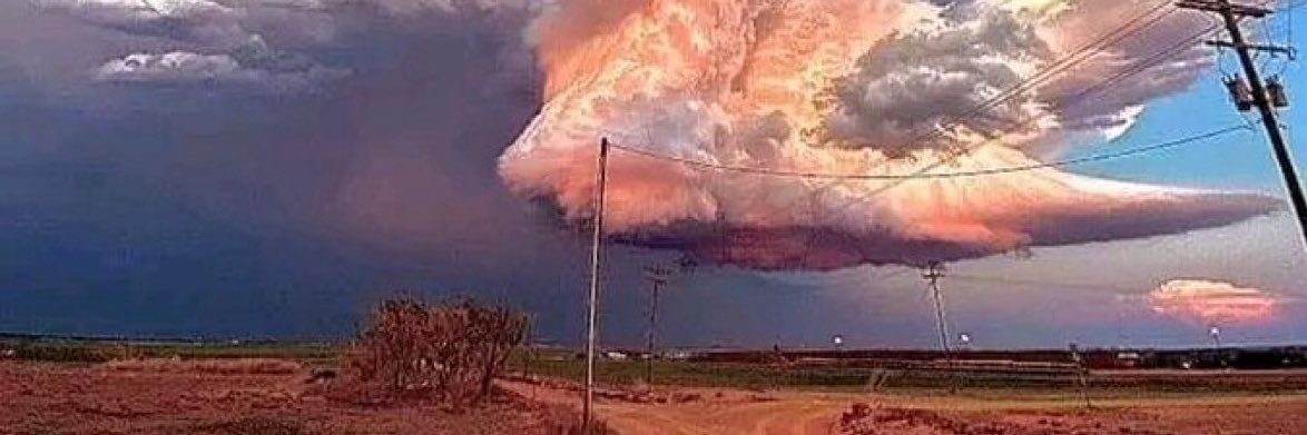 Lord Butternut banner