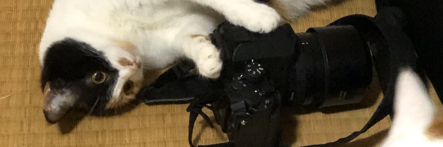 genjitsu_'s profile banner image
