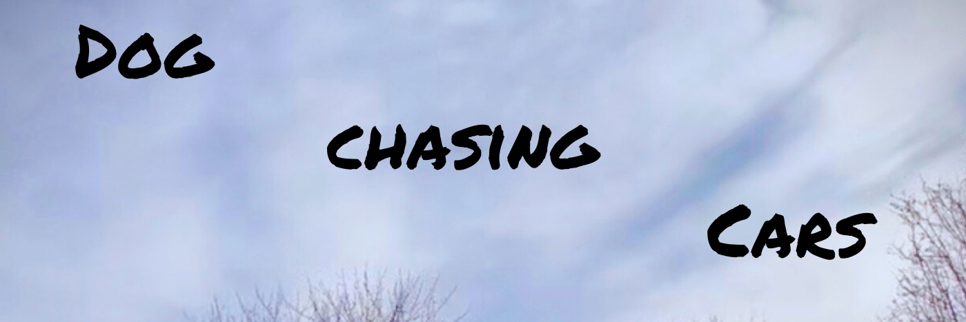 Lou Scott Keyes banner