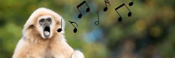 Backup_MMD Profile Banner