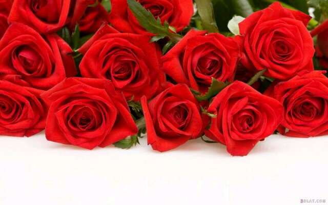 Sa7aibwed's profile banner image