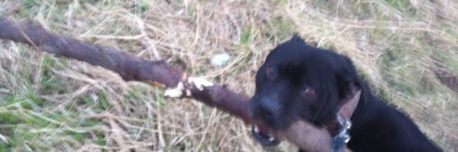 James Caldecoat banner