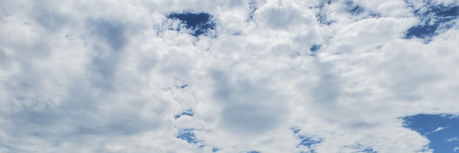 ro banner