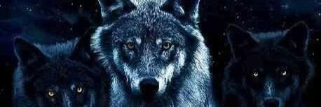 SWASchattenwolf's profile banner image