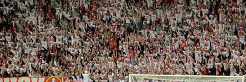 Peter Rossberg banner