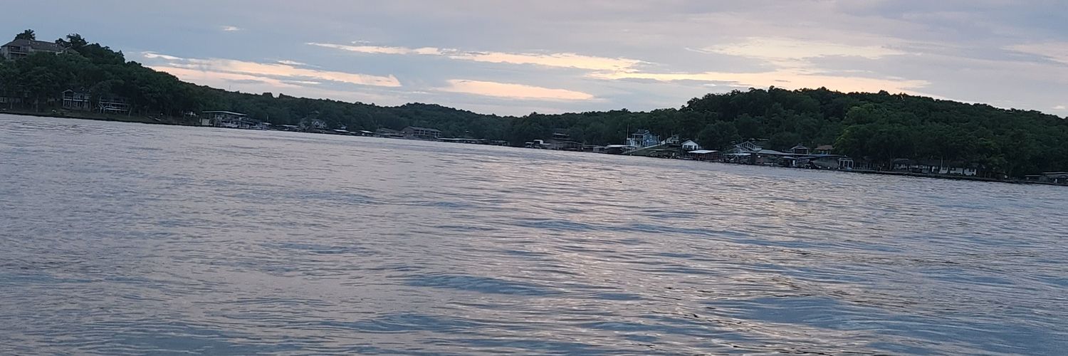 Nicole Dowling banner