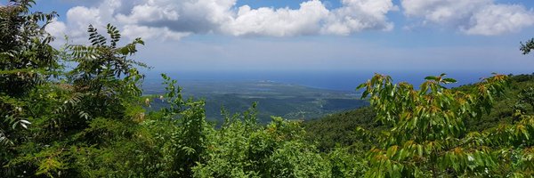 lulubenson Profile Banner