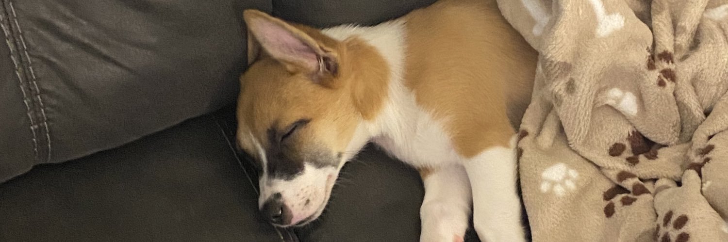 kxtlynp's profile banner image