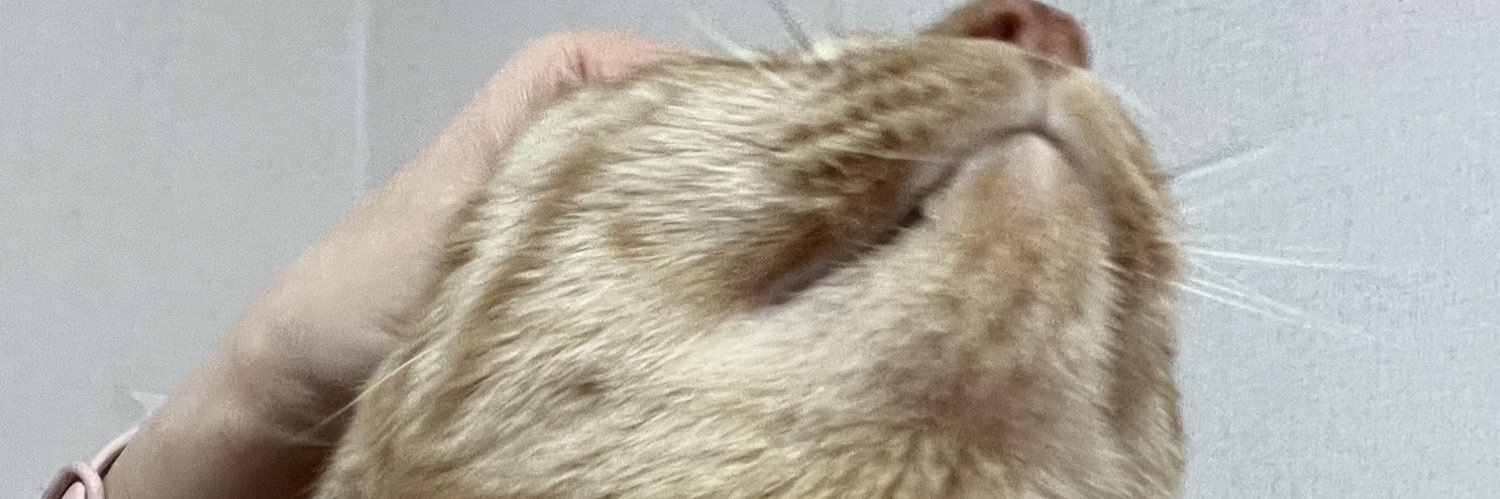 its_rnosh00's profile banner image