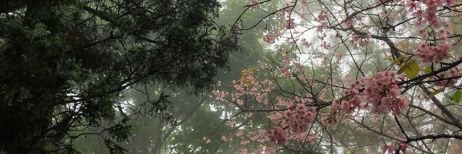 PPimPimP_'s profile banner image