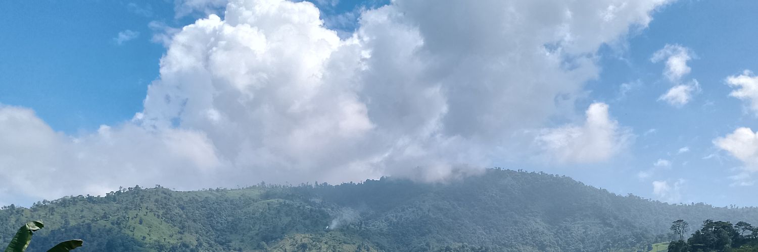 PedroSimarra29's profile banner image