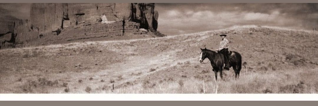 CrimeReaderNick🕵‍♂️👮‍♂️🚔🚓🔨🪓🗡🍺📚 banner