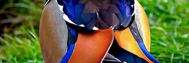 Tboy_02's profile banner image