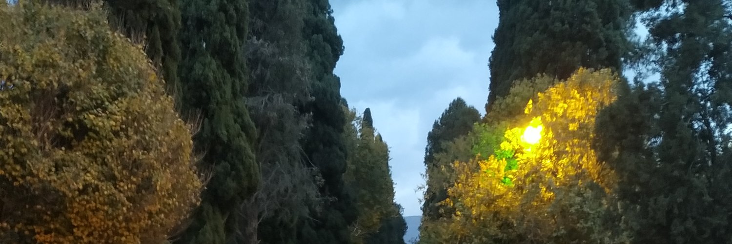 Alimoh_phy's profile banner image
