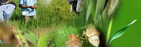 bbpopt's profile banner image