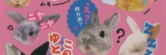 monkeymonster banner