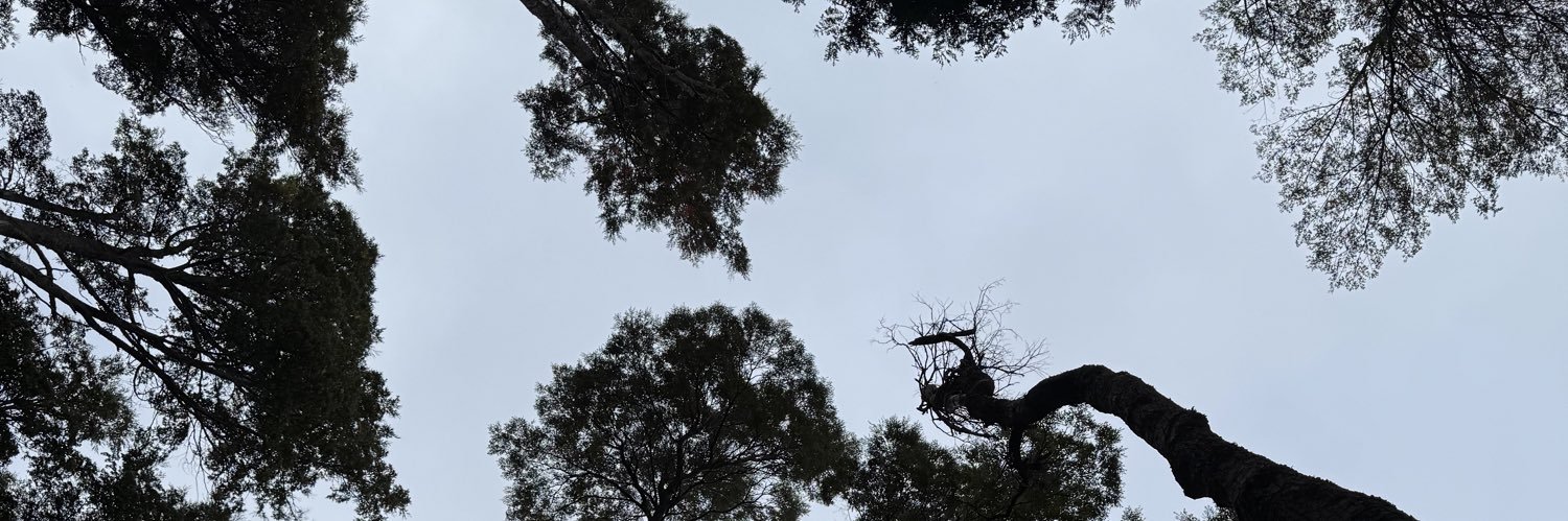 La hija de Pepa banner