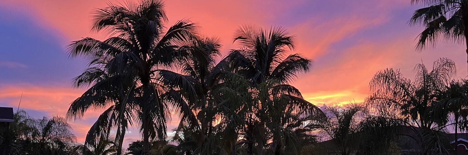 Thighza Minnelli banner