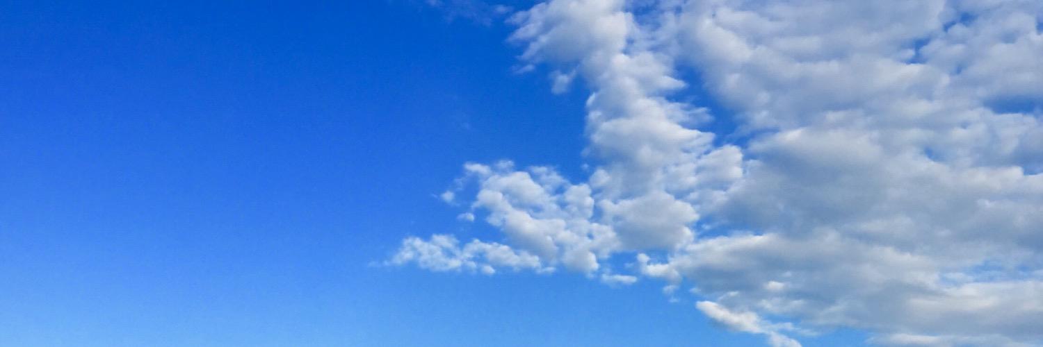 LBSmialowicz's profile banner image