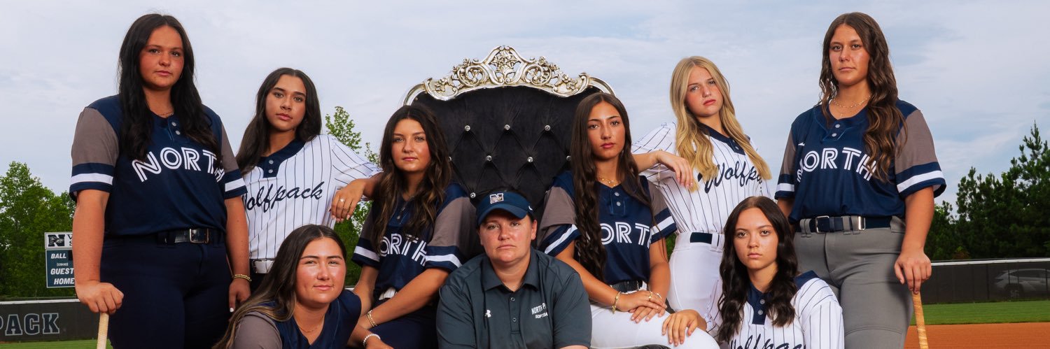 North Paulding Softball banner
