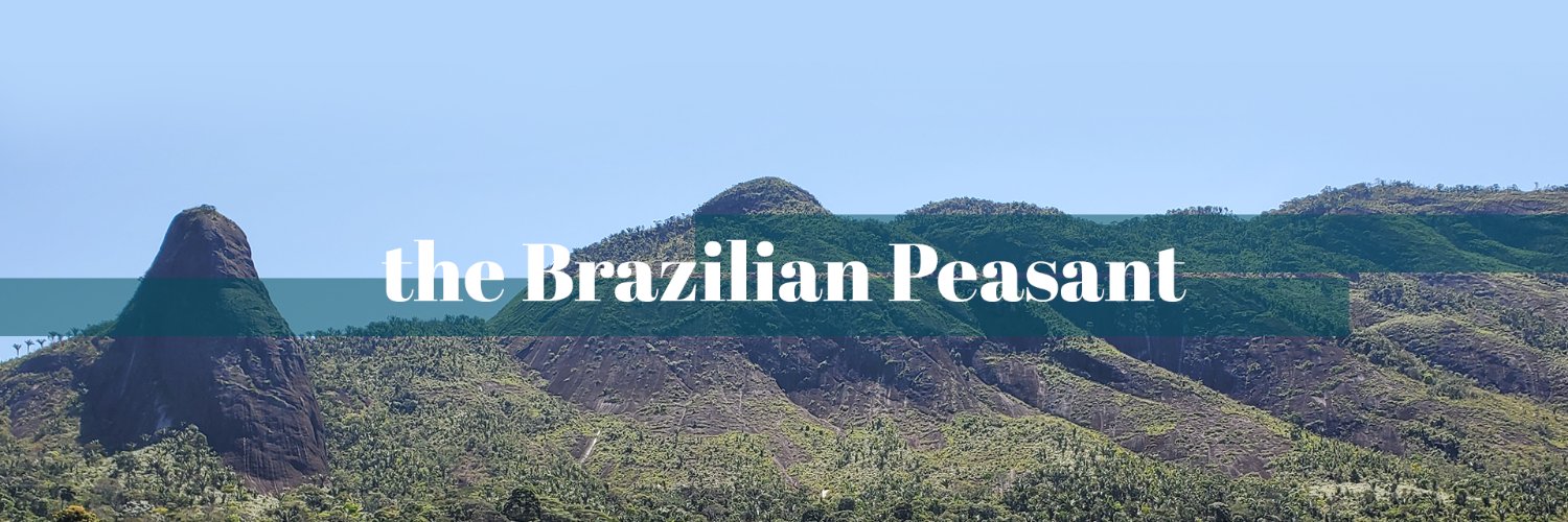 thepeasant_br's profile banner image