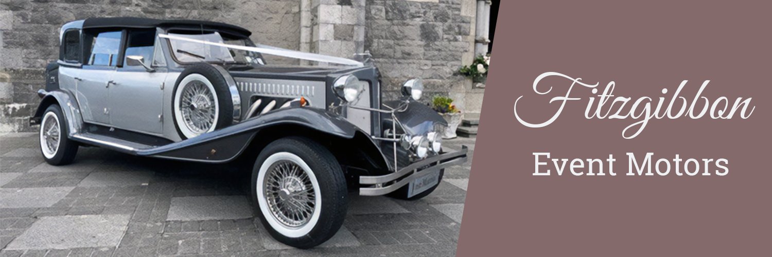 Fitzgibbon Event Motors banner