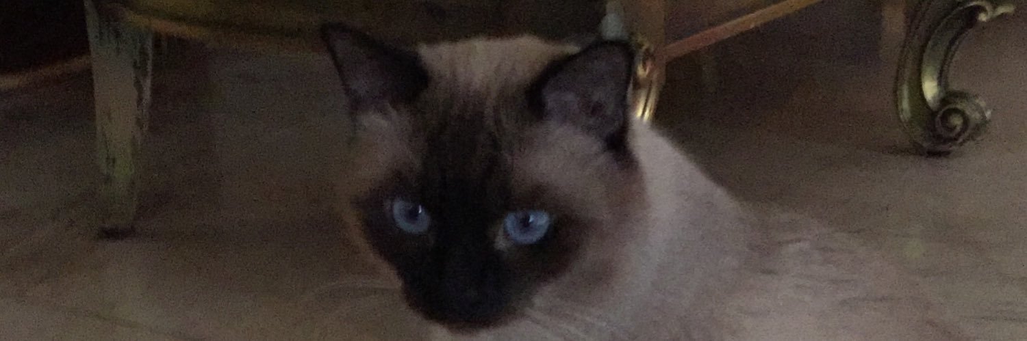 Sarah39433013's profile banner image