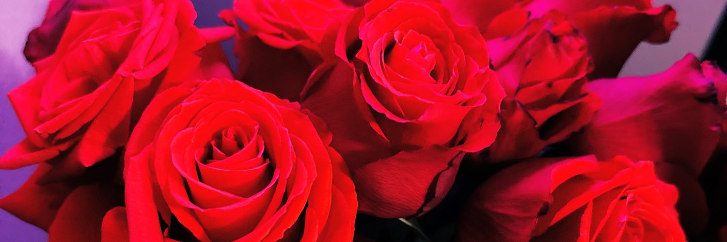 Krystalkb_'s profile banner image