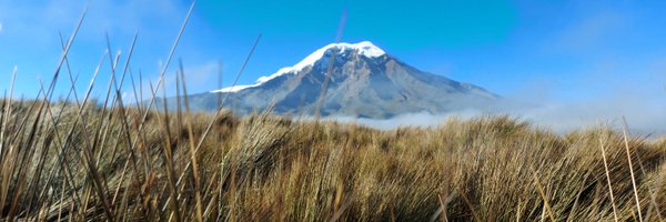 PuninaTelmo Profile Banner