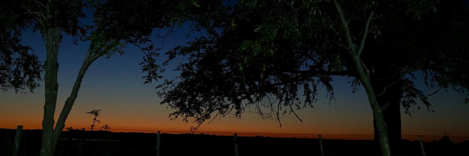 malenacopes's profile banner image