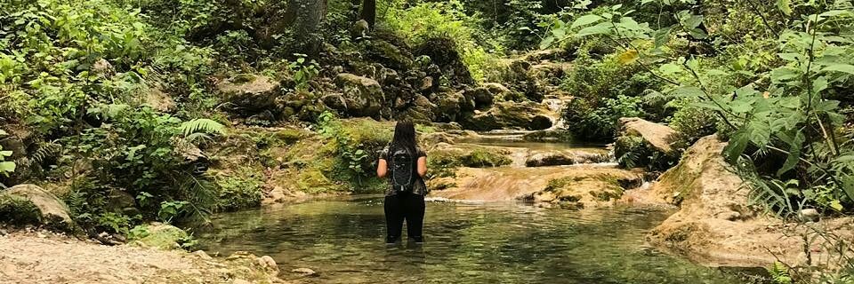 daniela_gzz's profile banner image