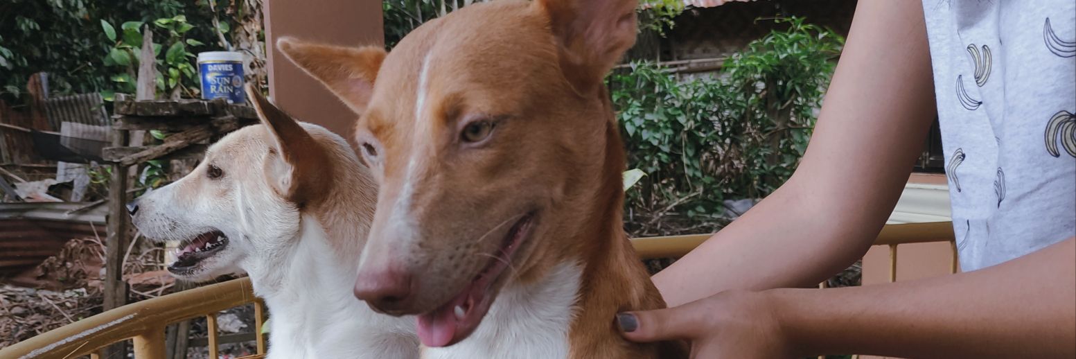 FEBOYJUMAMOY's profile banner image