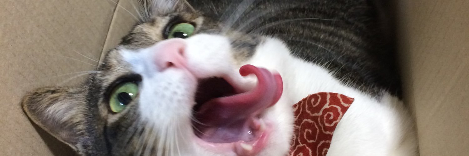 しばたん（・ω・） banner